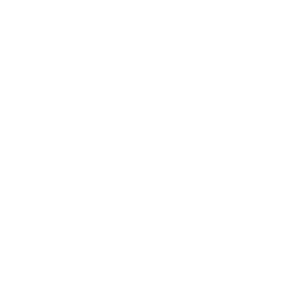 Button 1 Image